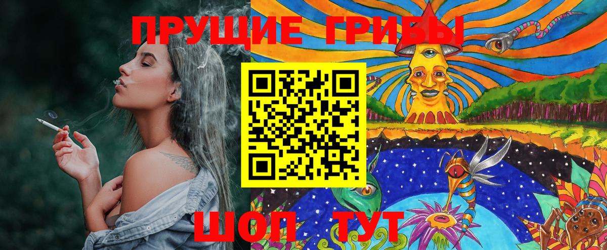 Тихвин  продажа наркотиков  Вход с VPN  Псилоцибиновые грибы GOLDEN TEACHER 